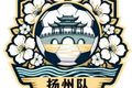 苏超扬州队公开征集队徽，目前入围30个元素覆盖足球、扬州古建筑